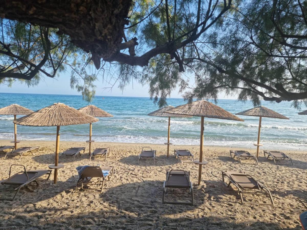 Aparthotel Artemis Makrýgialos Zewnętrze zdjęcie